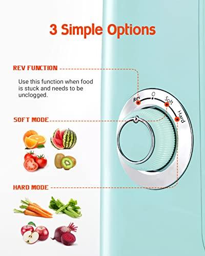 Hazel Quinn Masticating Juicer, Slow Cold Press Juicer Machines for Fruit and Vegetable, Filter-Free for Easy to Clean, 2-Speed Modes & Reverse Function, 80 RPM Quiet Motor Below 65dB, Mint Green