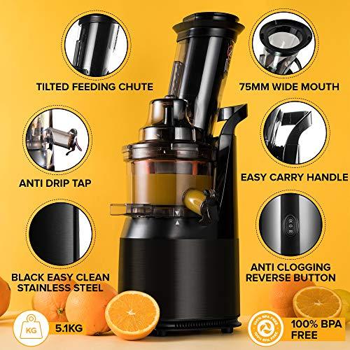 Powerful Masticating Juicer for Whole Fruits and Vegetables, Fresh Healthy Juice, Sorbet, Ice Cream, Wide Mouth 75mm Feeding Chute, BPA Free, 240-Watt, Cold Press, Black Stainless Steel Fridja f1900