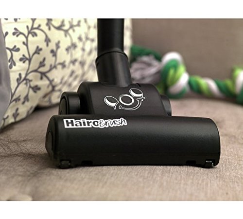 Xtra Bagged Cylinder Vacuum, 9 Litre, 620 Watt, Green